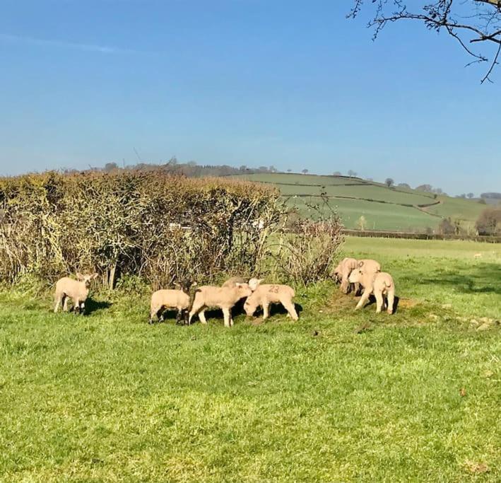 Rural Devon Retreat In Stunning Exe Valley. Ексетър Екстериор снимка