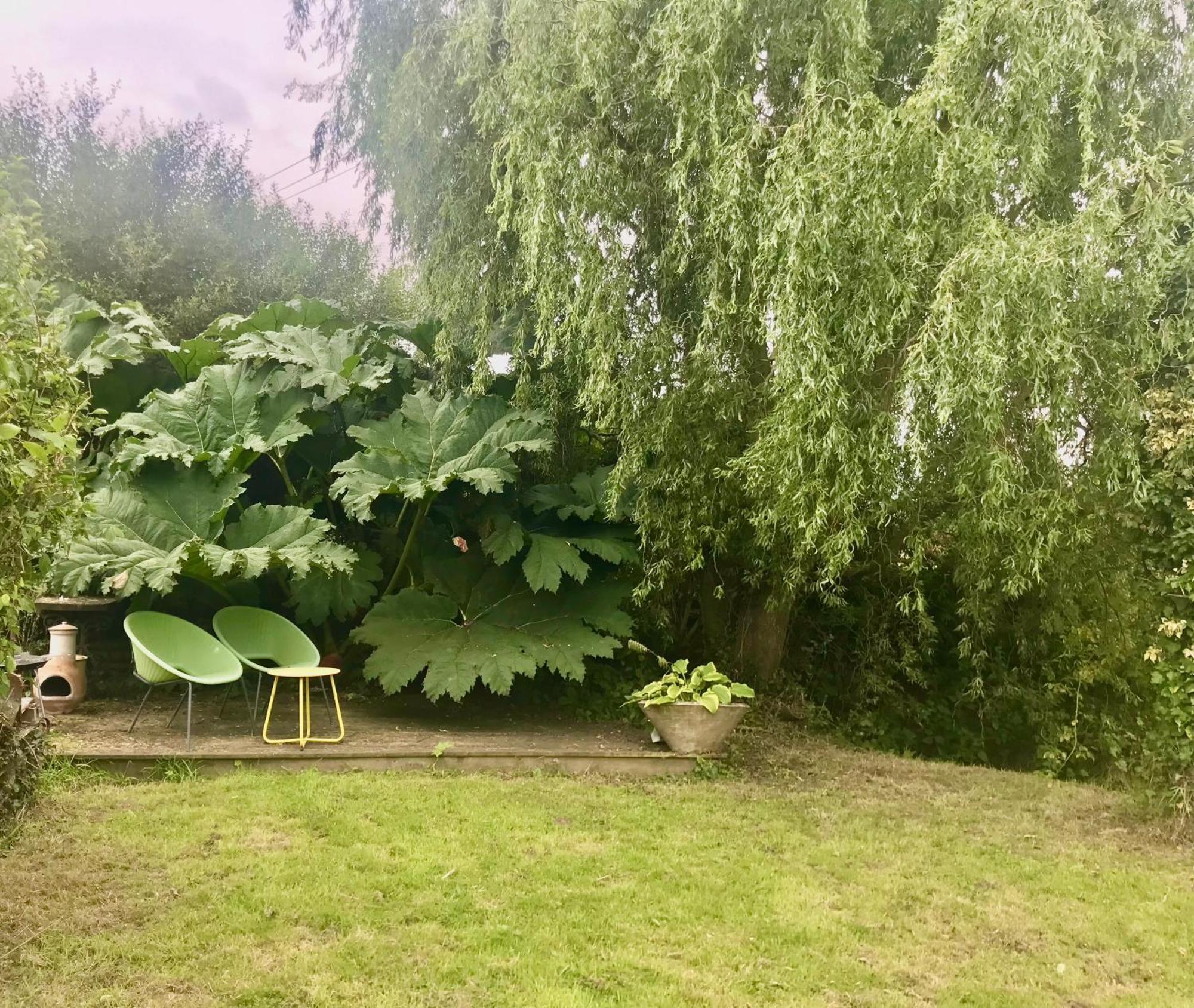 Rural Devon Retreat In Stunning Exe Valley. Ексетър Екстериор снимка